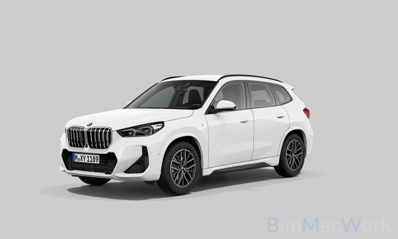 Exterior of BMW X1 xDrive20d (Sports Activity Vehicle (5 Doors)), VIN WBA41EG0305X08034