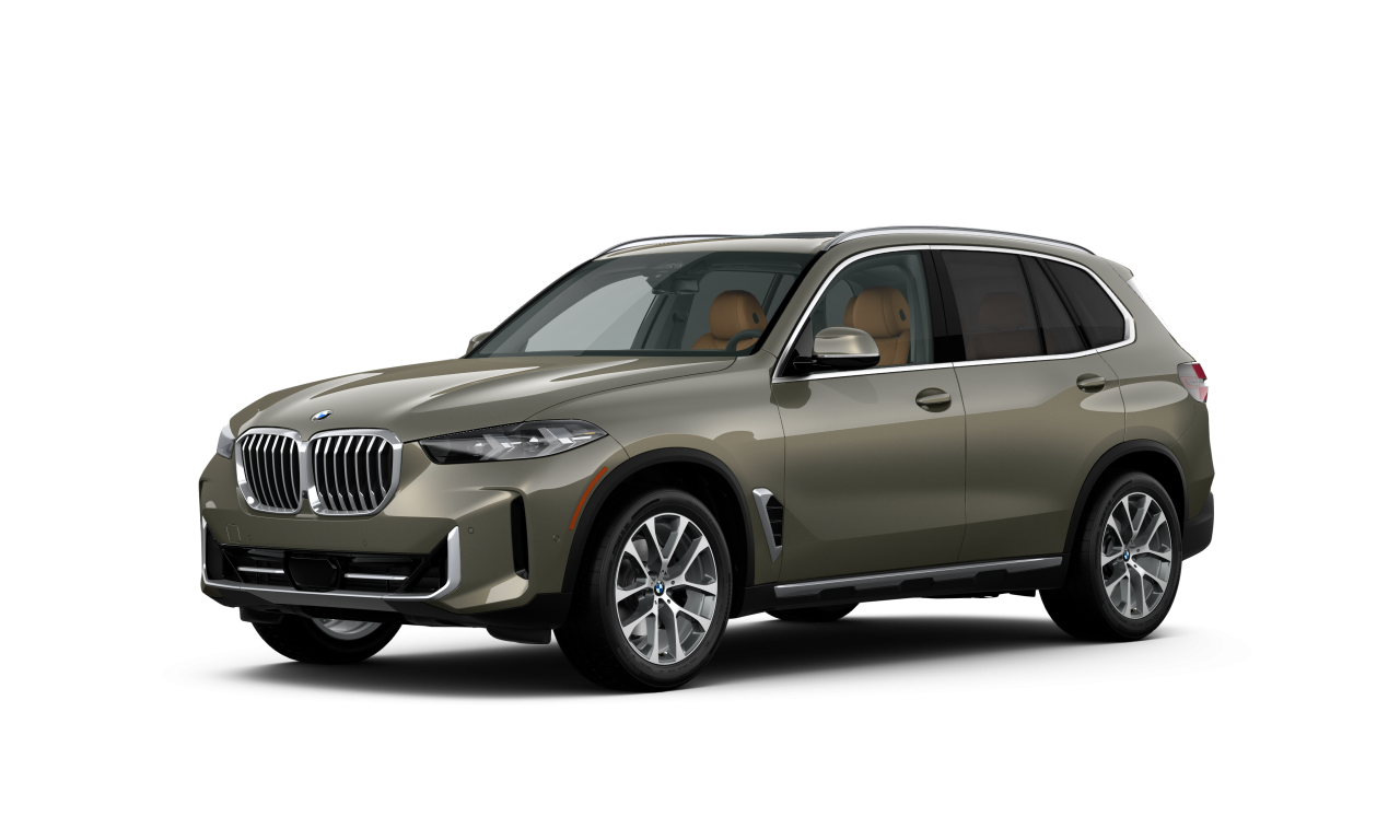 Exterior of BMW X5 xDrive40i (G05 (MUE)), VIN 5UX23EU00R9S49249