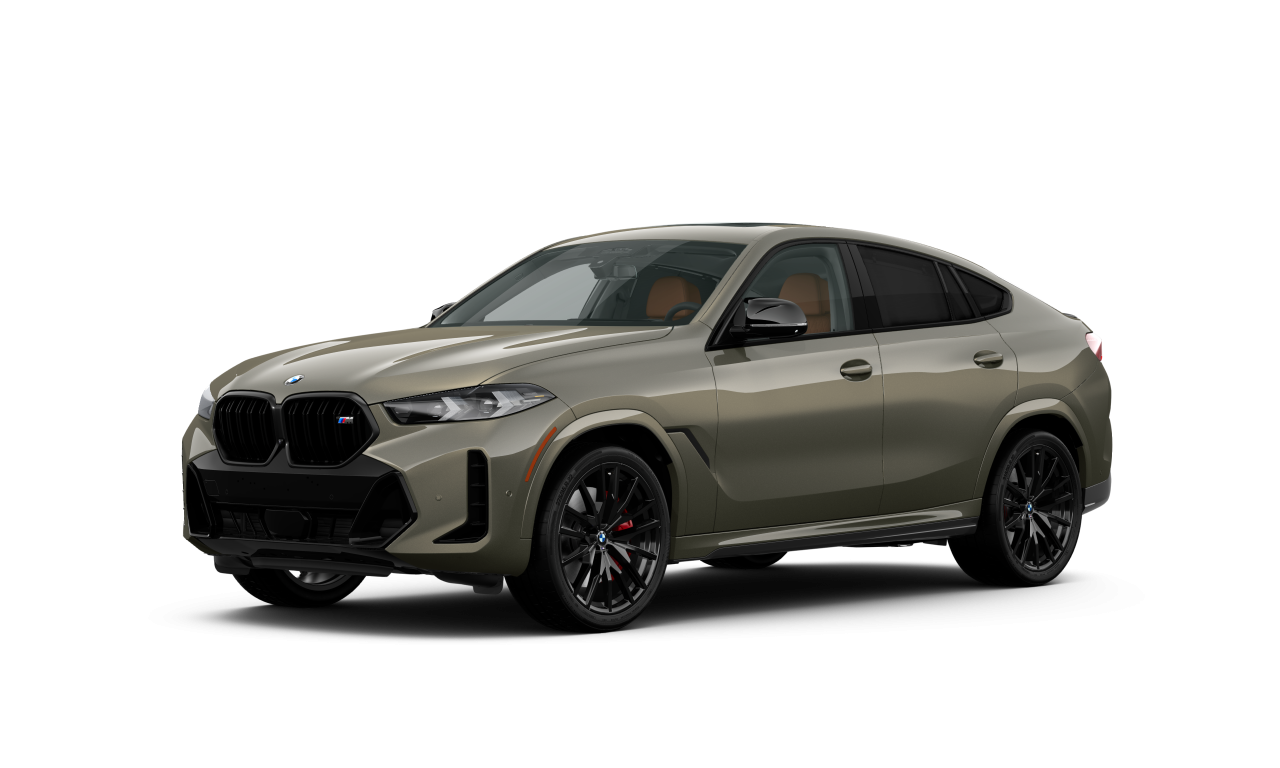 Exterior of BMW X6 M60i xDrive (G06 (MUE)), VIN 5UX43EX05V9491369