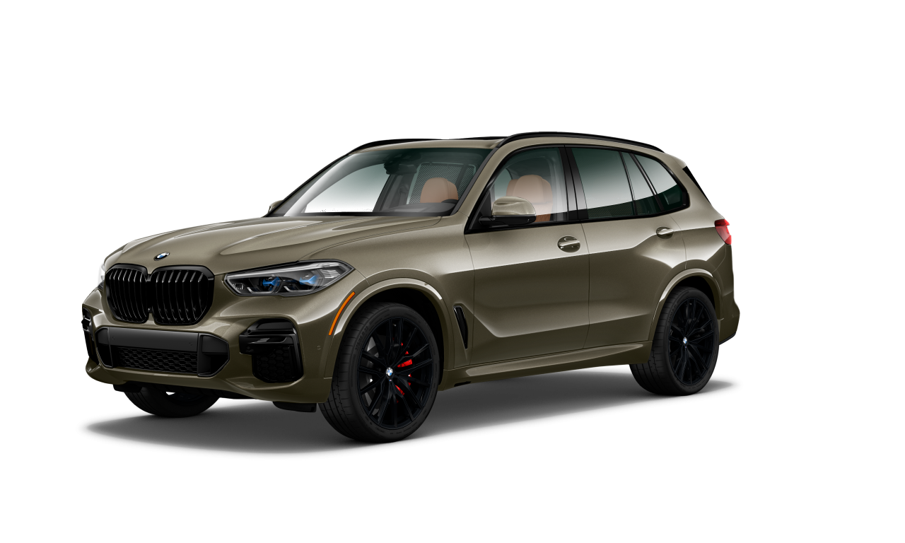 Exterior of 2022 BMW X5 xDrive40i (G05), VIN 5UXCR6C02P9N64187