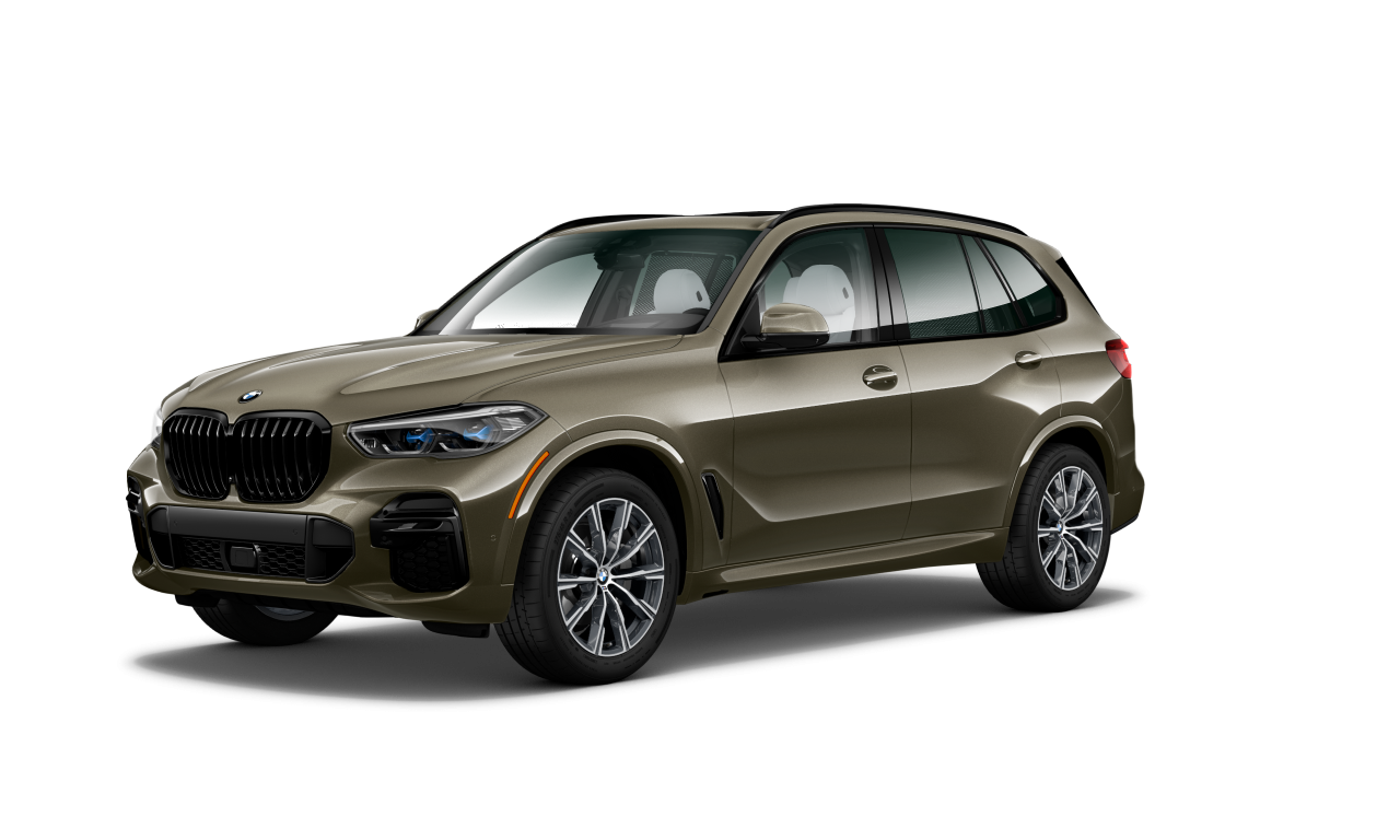 Exterior of BMW X5 xDrive40i (G05), VIN 5UXCR6C05P9R06067