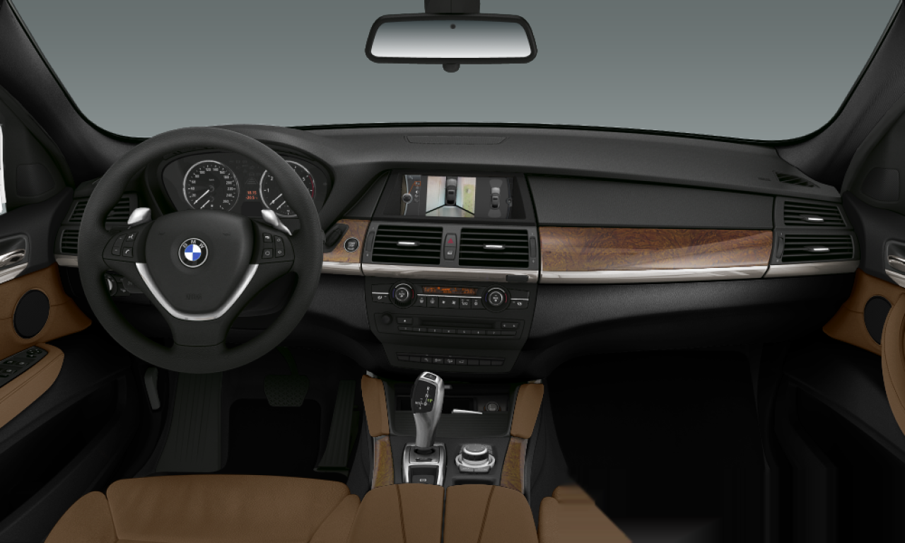 Interior of 2009 BMW X6 xDrive50i (E71), VIN WBAFG8102AL285039