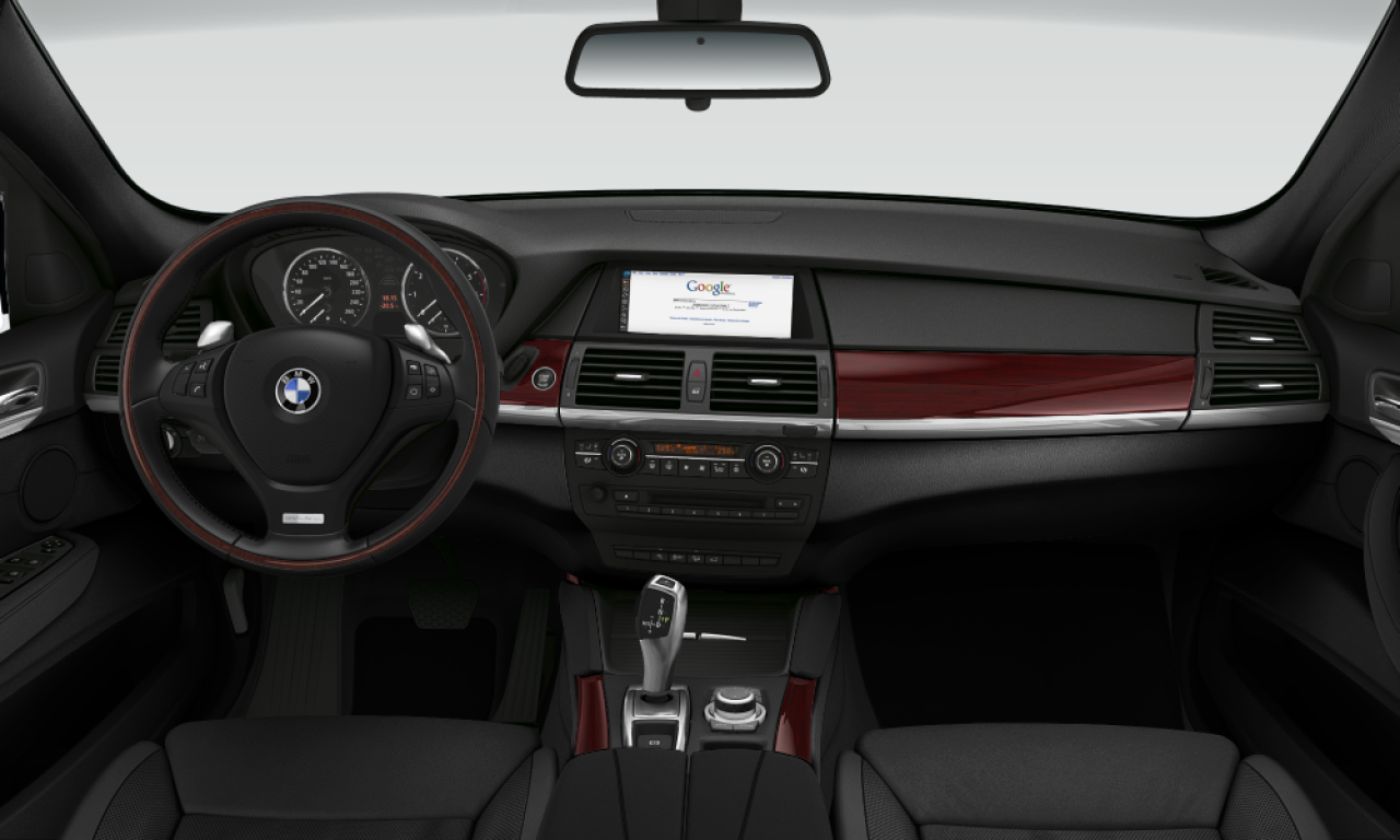 Interior of 2010 BMW X6 xDrive30d (E71), VIN WBAFH61030L481443