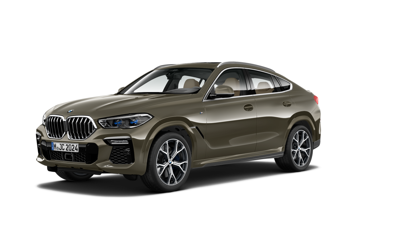 Exterior of BMW X6 xDrive30d (G06), VIN WBAGT8104M9H98751