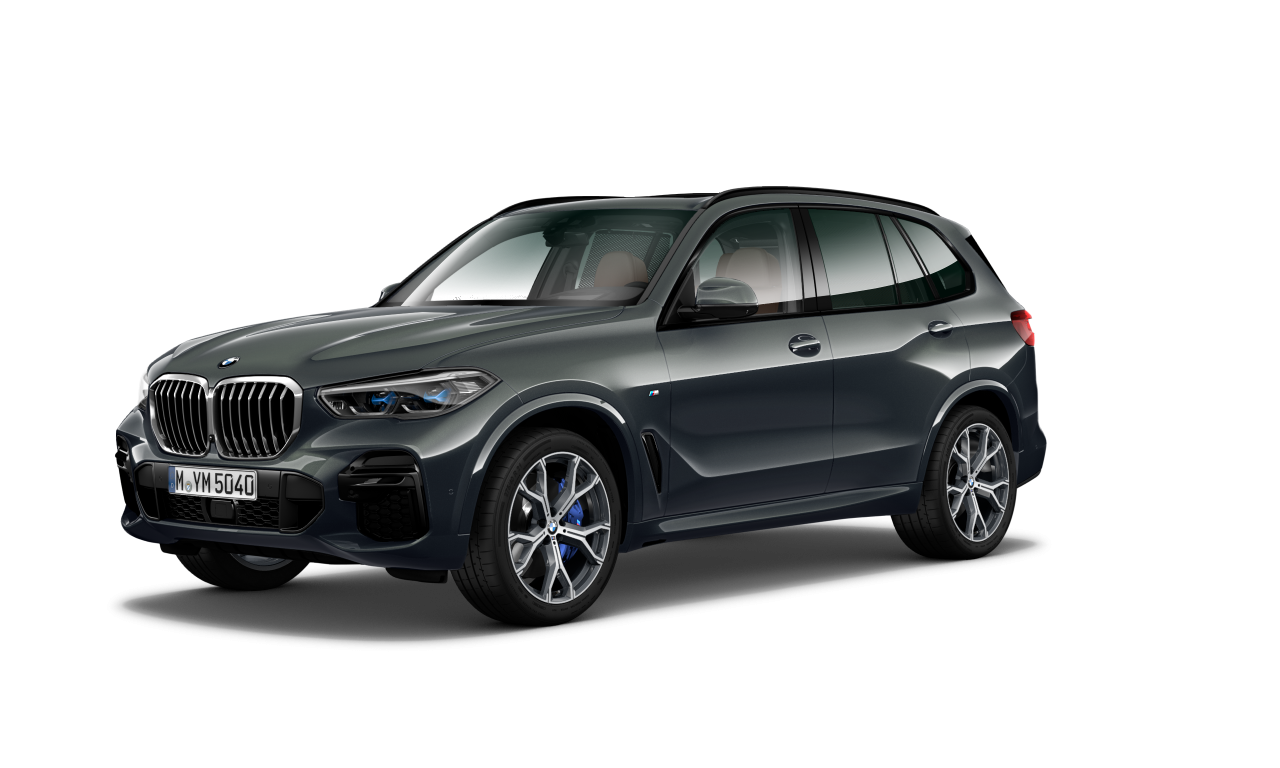 Exterior of BMW X5 xDrive30d (G05), VIN WBAJU810309N19073